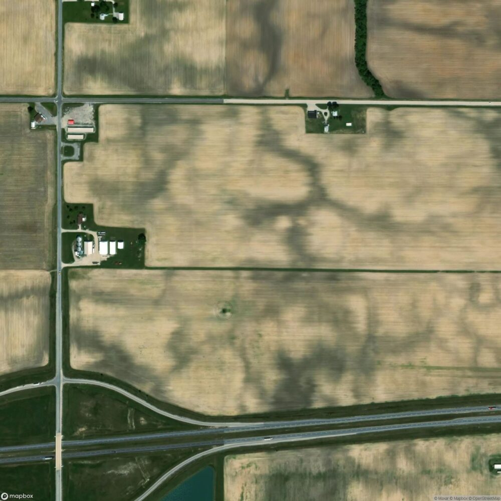 Forest Field
