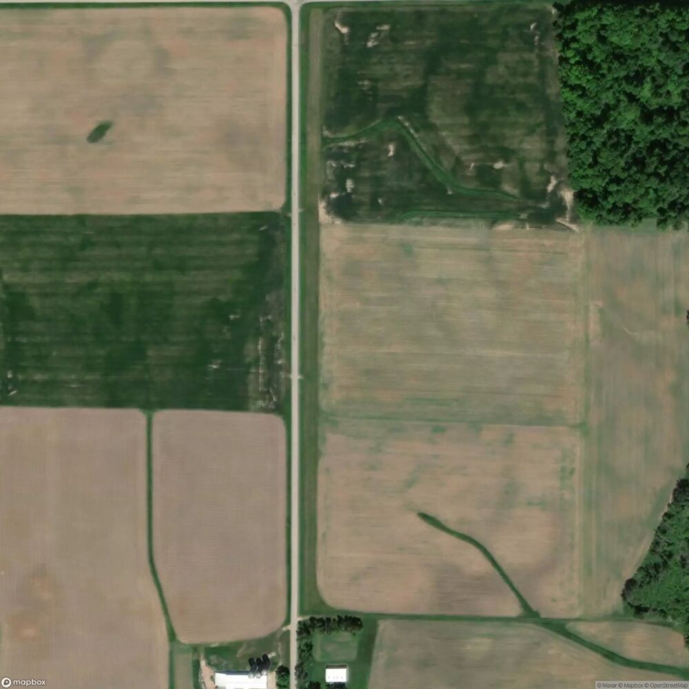 Flying Dollar Ranch