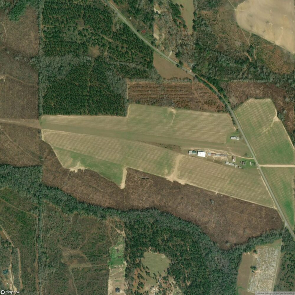 Freedom Field