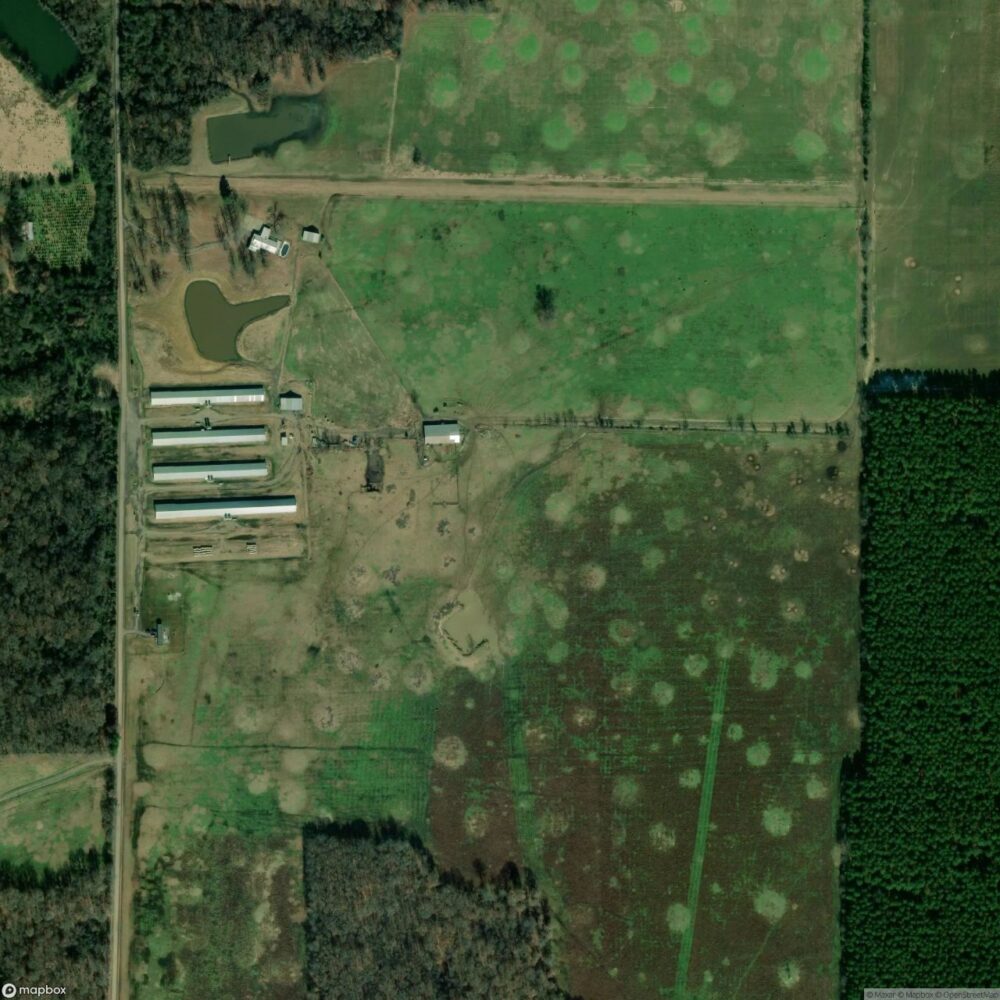 Centerville Airstrip