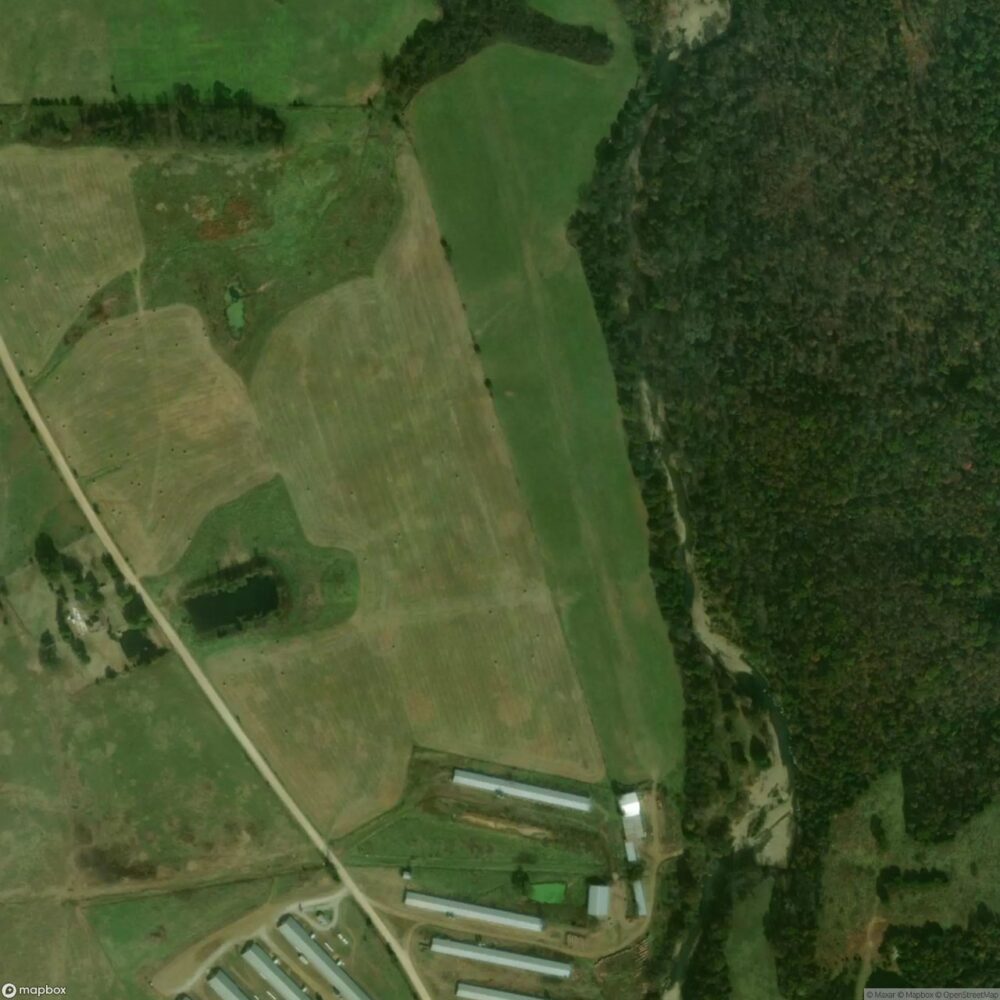 Lollars Creek Farm