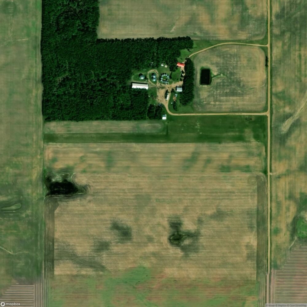 Eaglesham (South) Airport