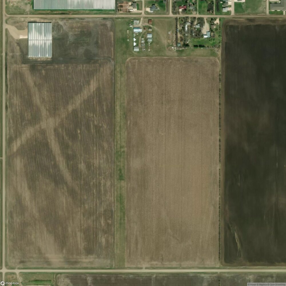 Friendship Field