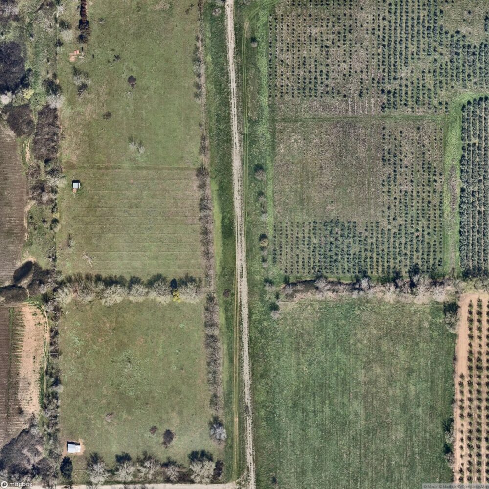 Butte Creek Hog Ranch