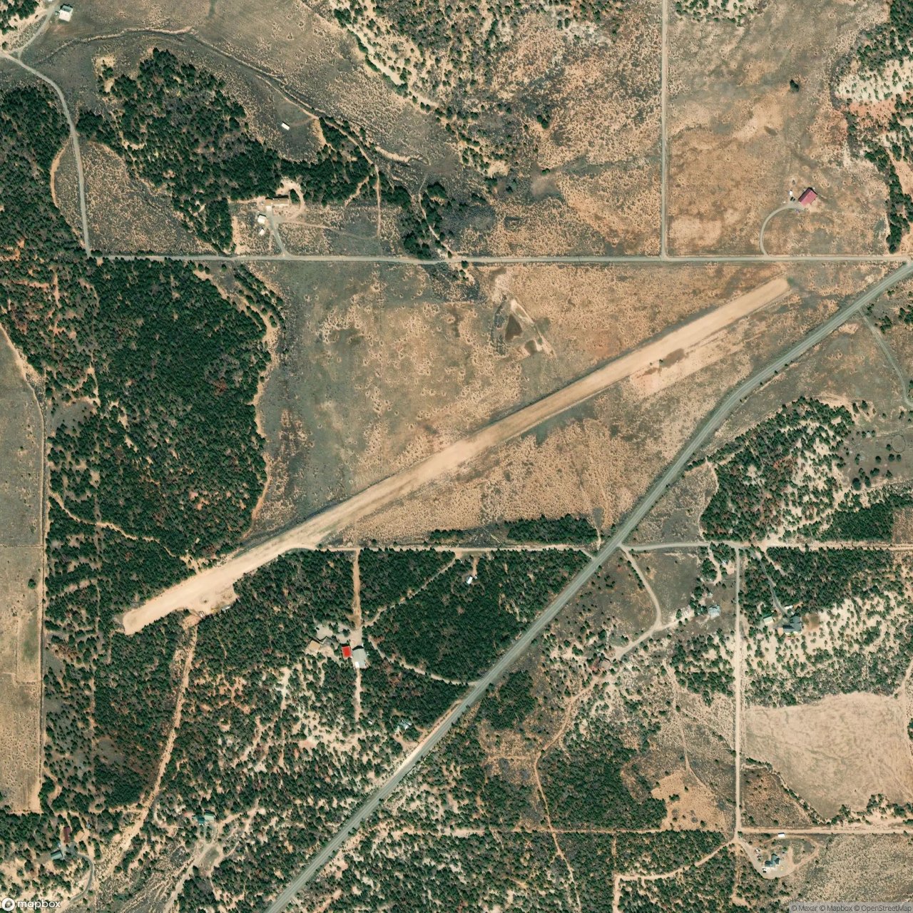 Pinyon