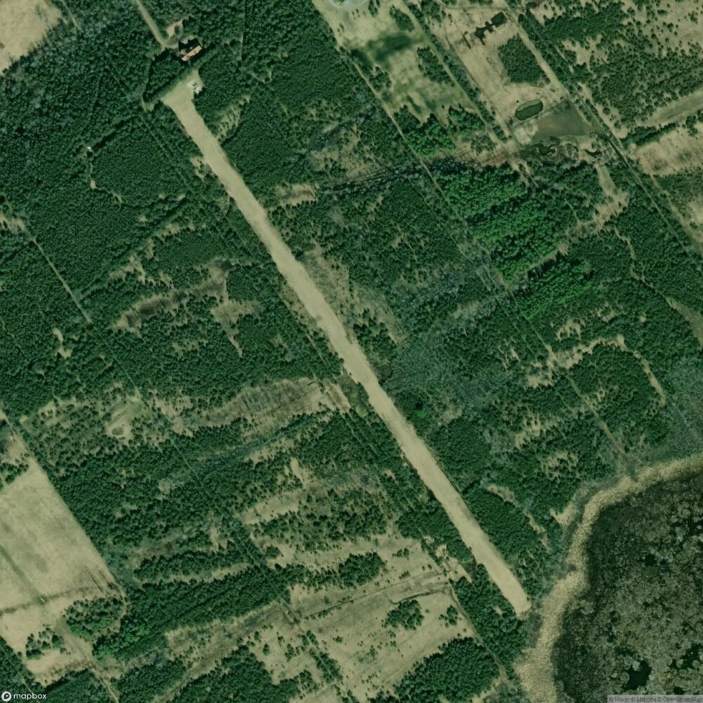 Fern's Field