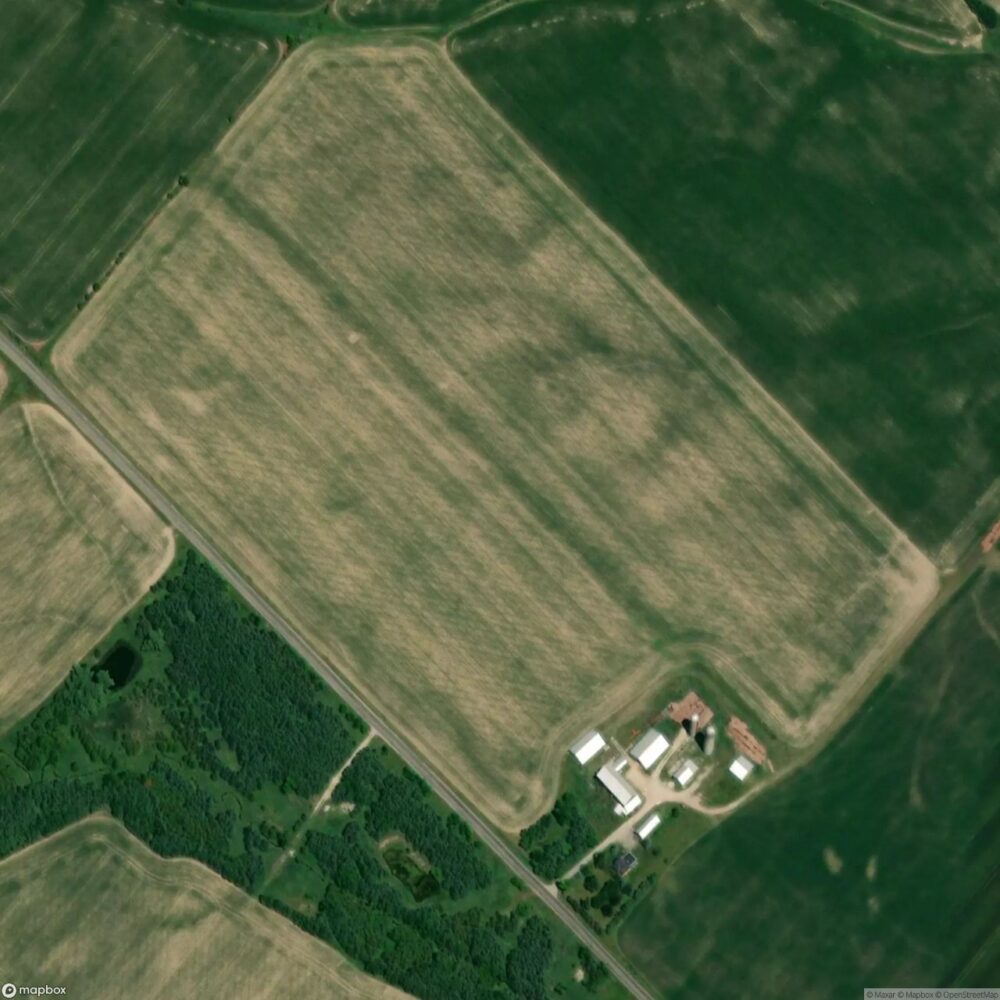 Little's Farm