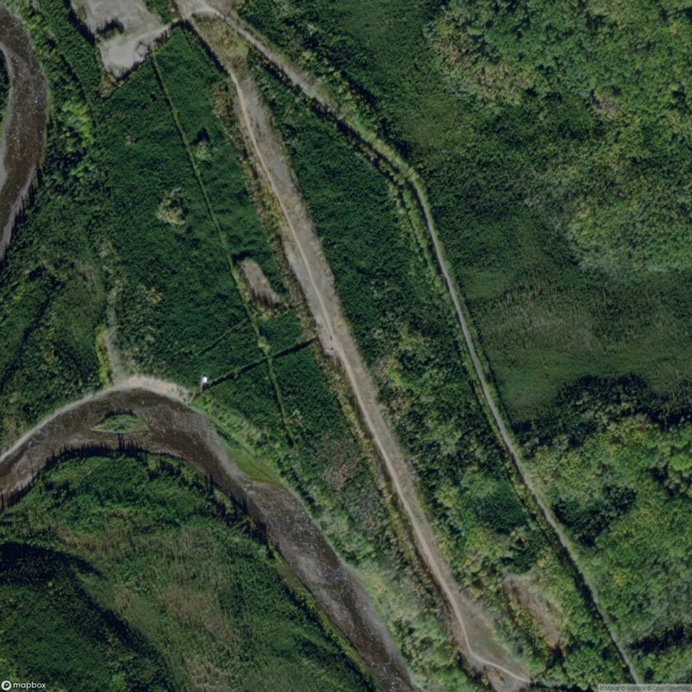 Fort Nelson Airport