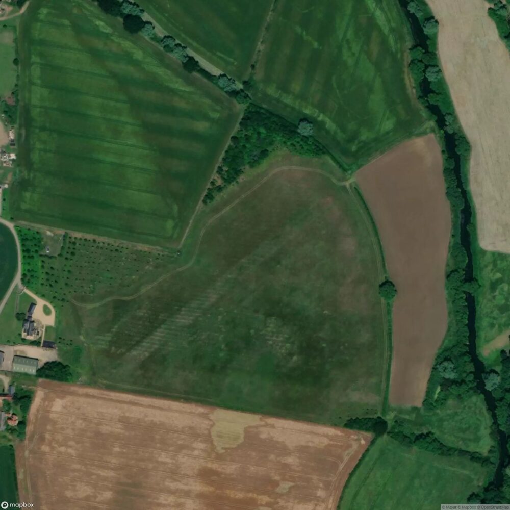 Earwig Farm Airstrip