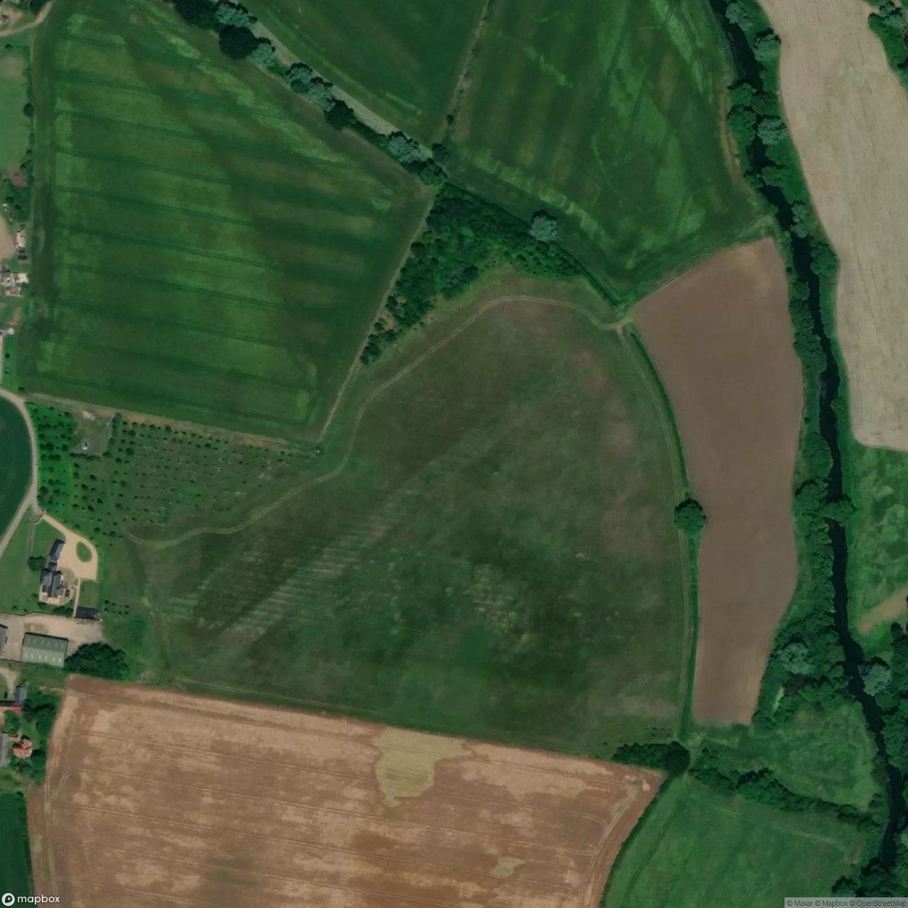 Earwig Farm Airstrip