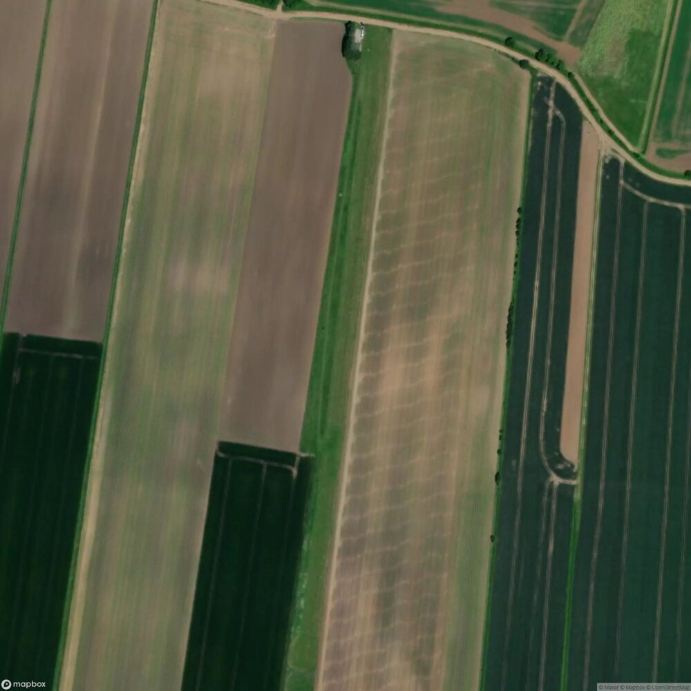 Mitchell's Farm Airstrip