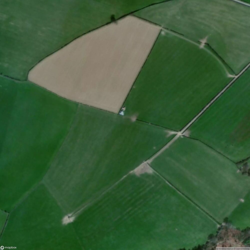 Forest Farm Airstrip