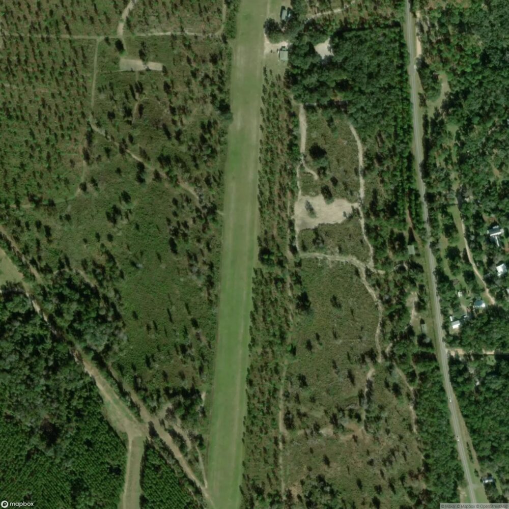 Bird Field
