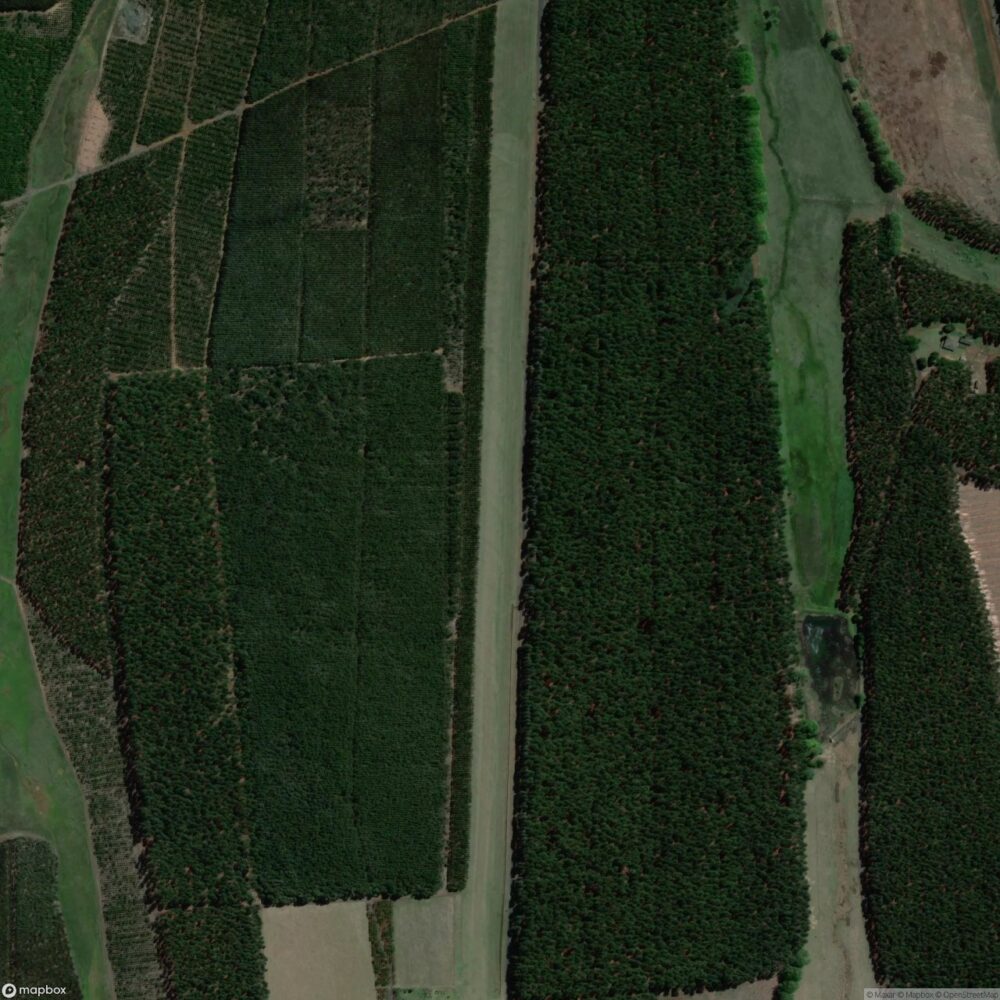 Greytown Airport