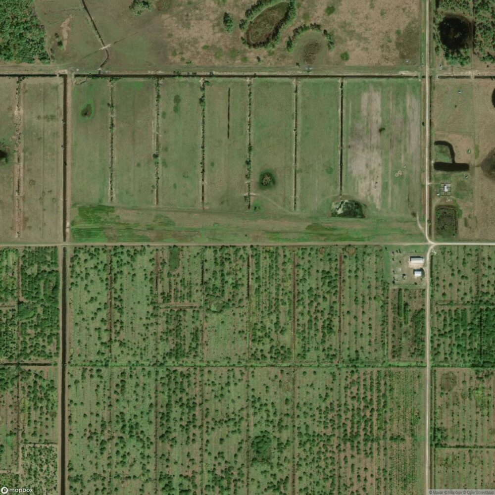 Southern Fruit Groves