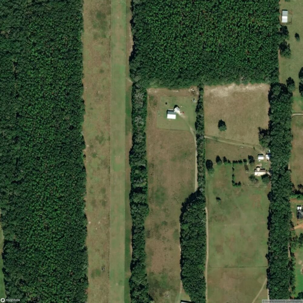 Peach Orchard