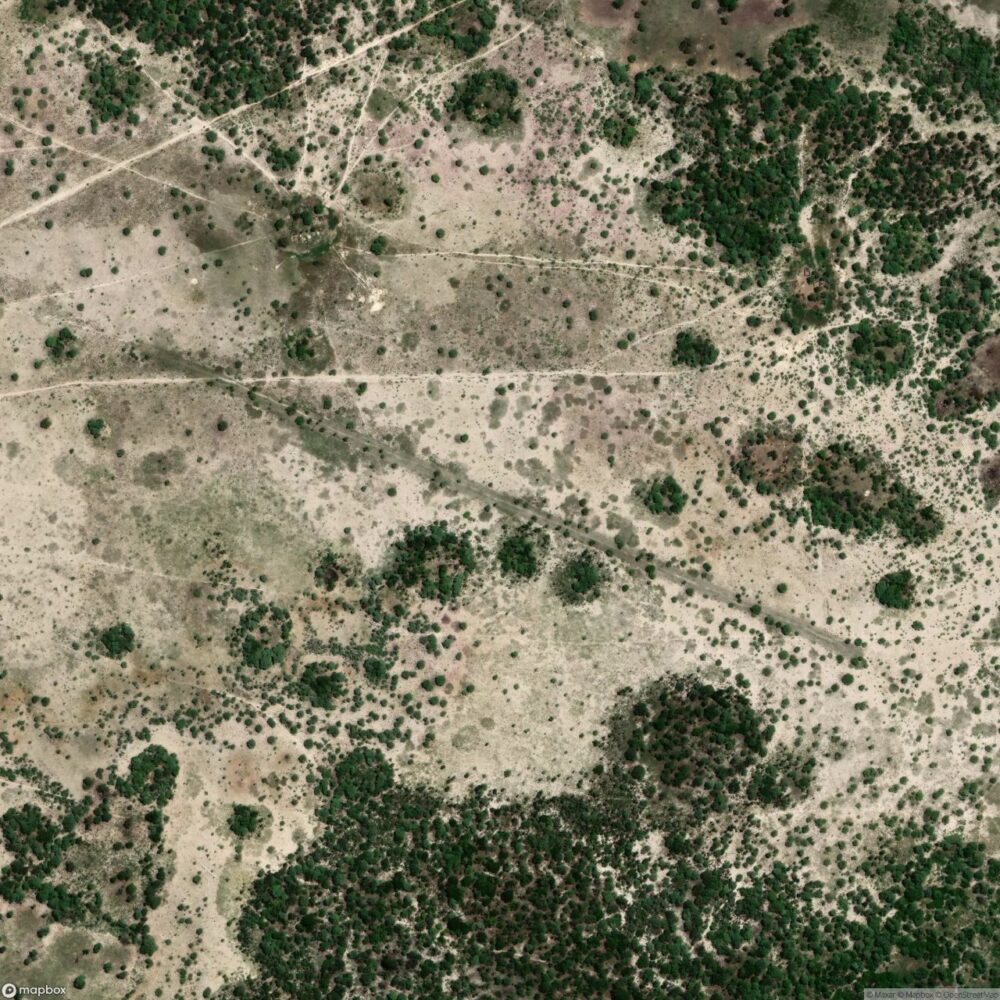 Kanyau