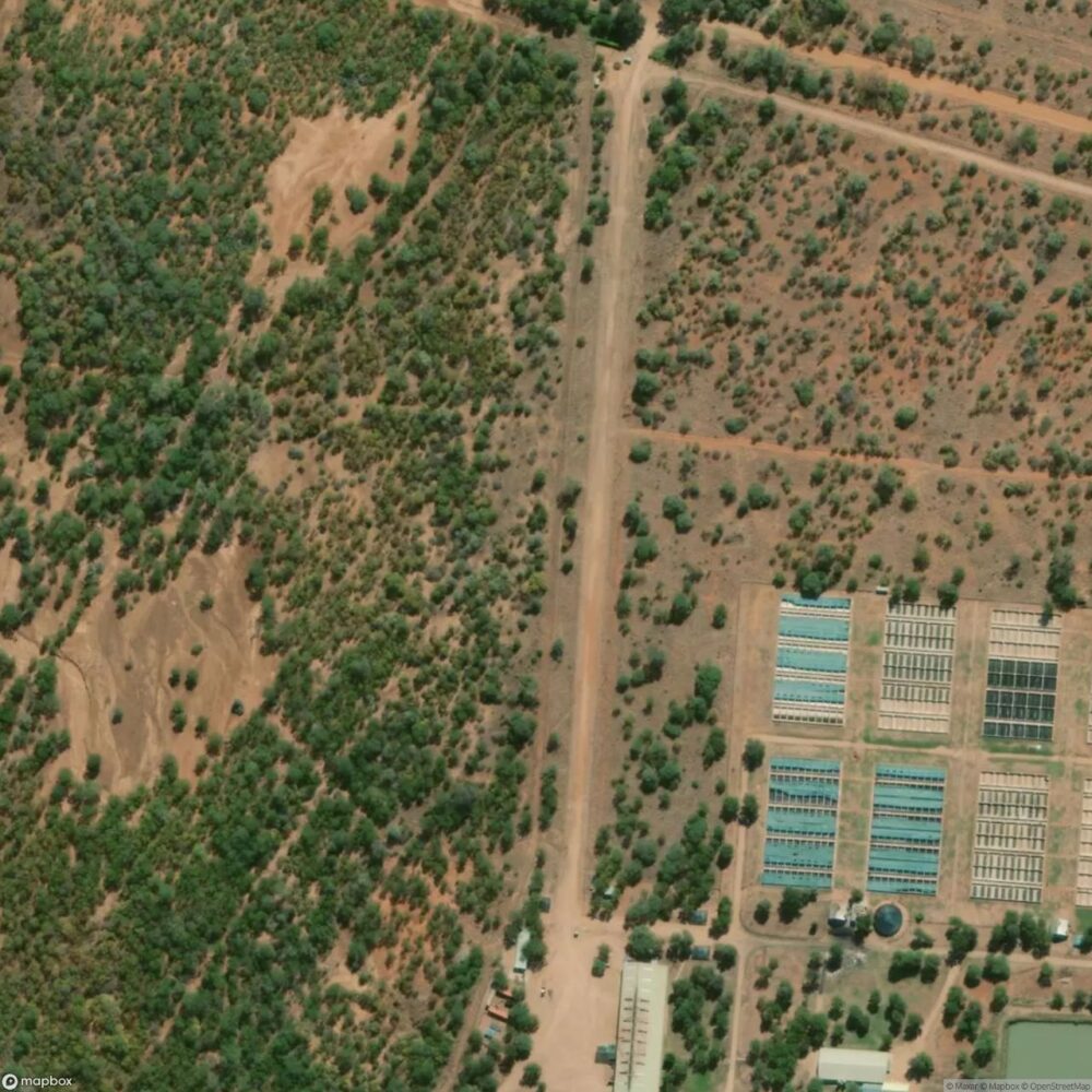 Mwenezi Airport