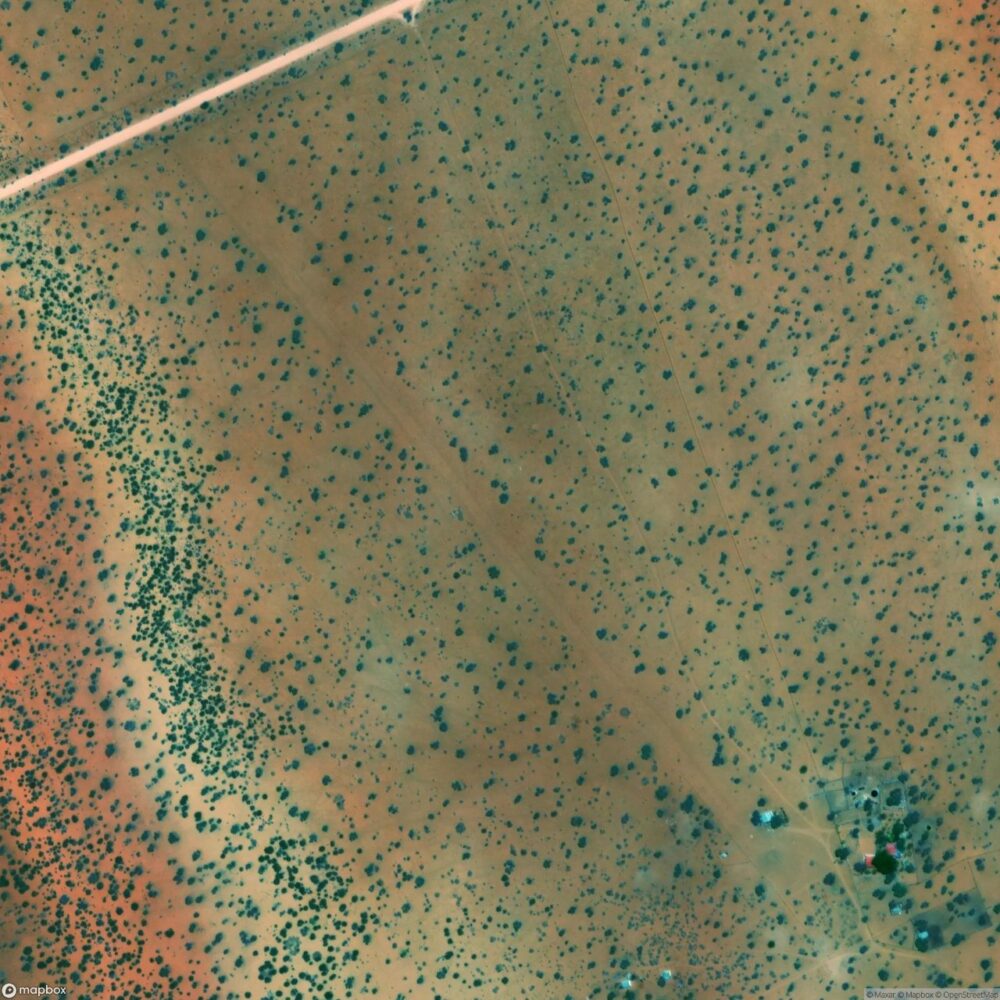 Georgia Peter Schomarz Landing Site