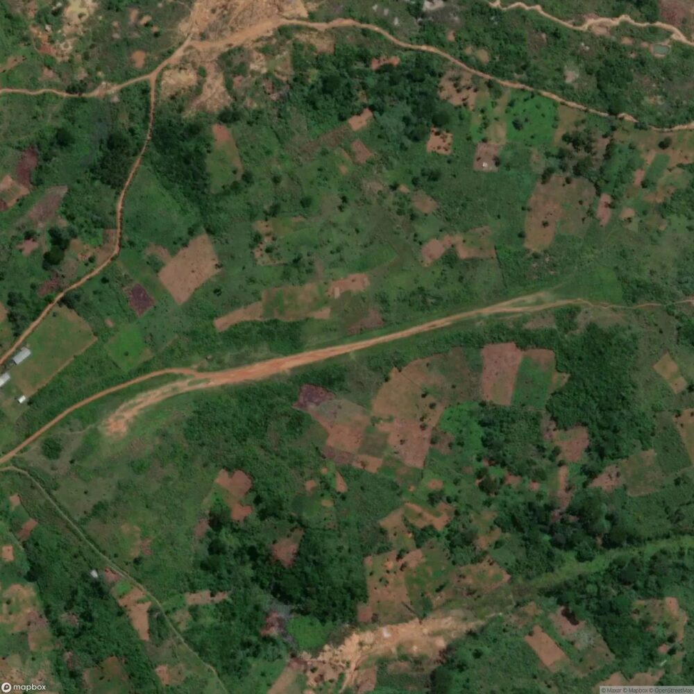 Mongbwalu Airport