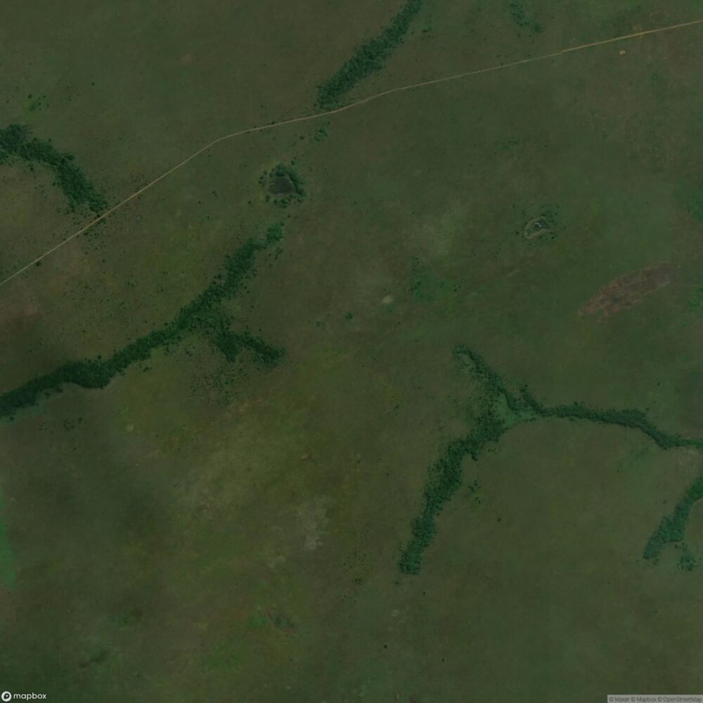 Kansimba