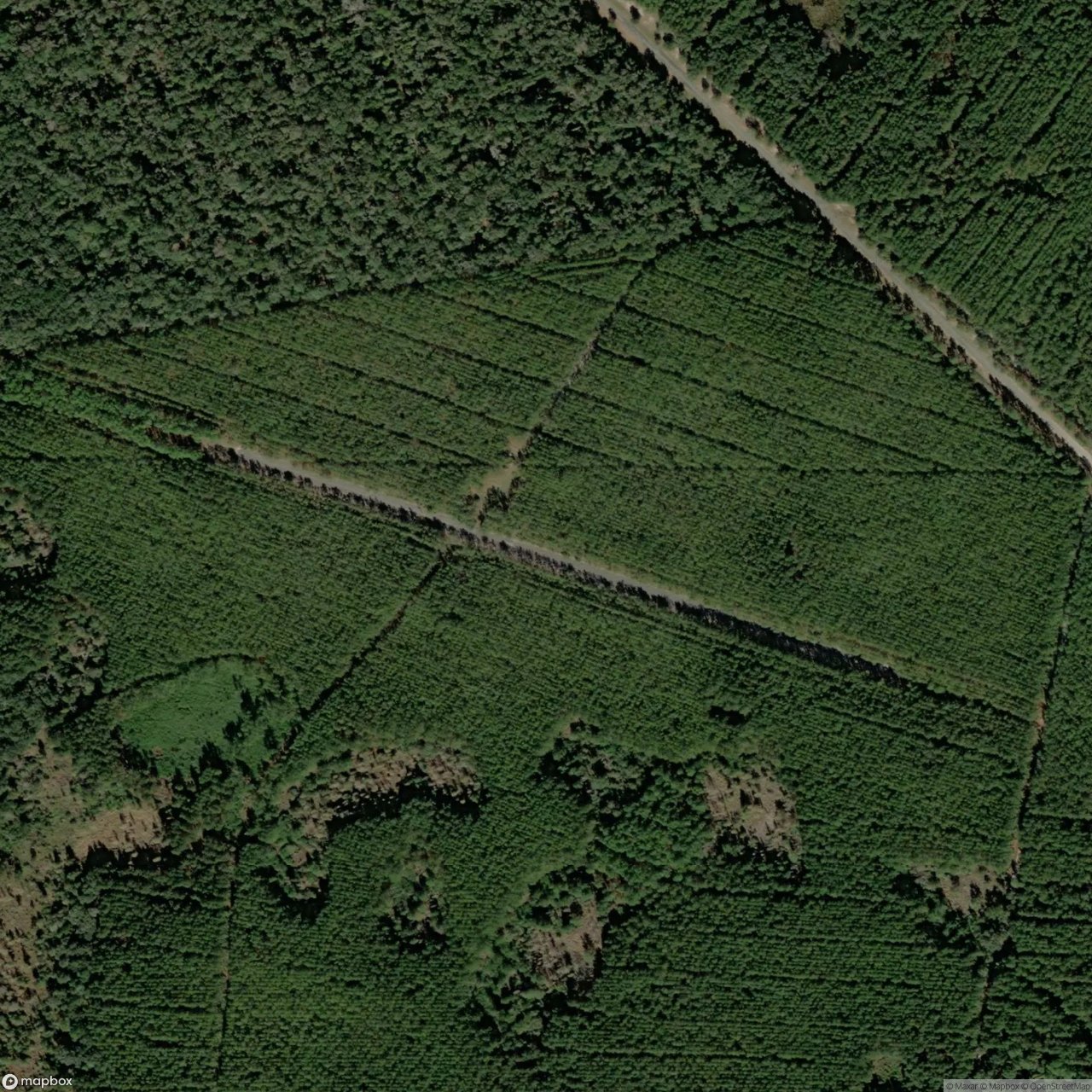 Union Carbide Plant Strip