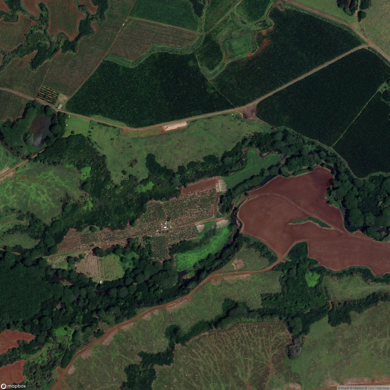 Hanamaulu Airstrip