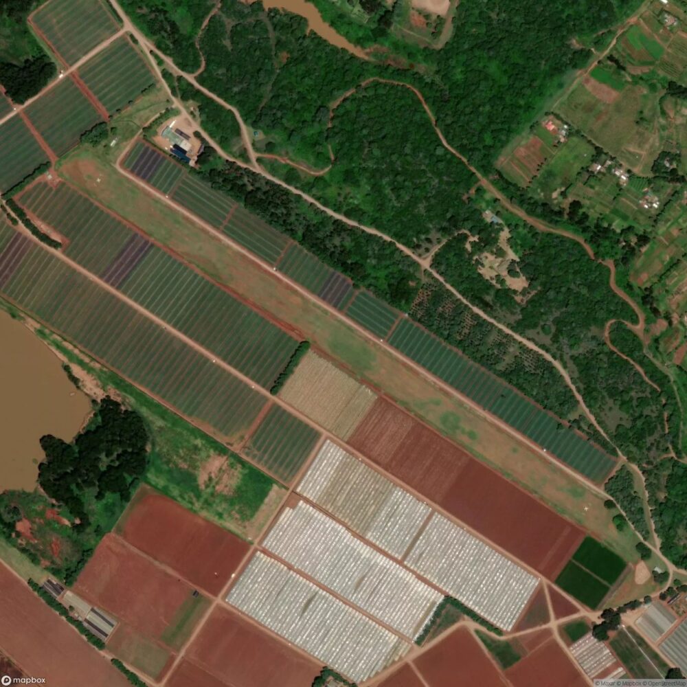 Ibis Farm Airport
