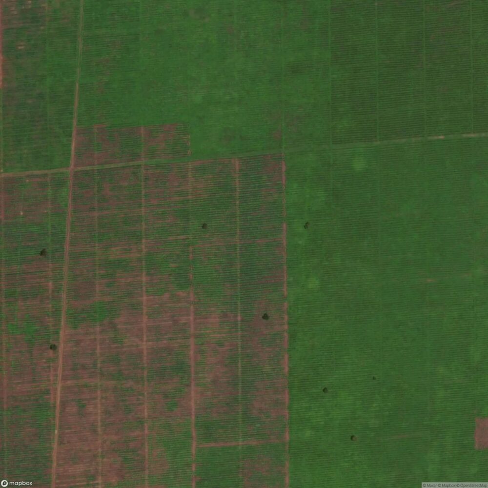 Lomolo Airport