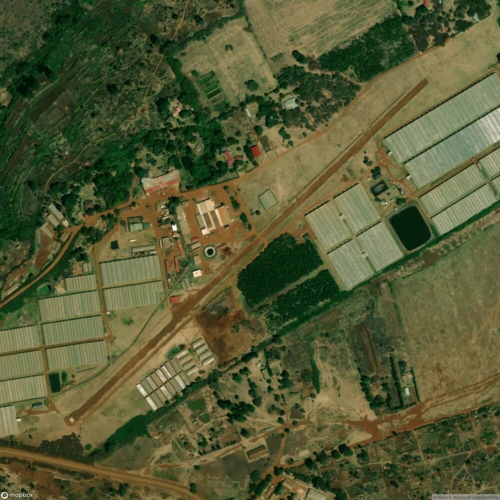 Mount Elgon Orchards Airstrip