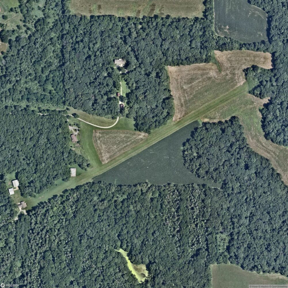 Picayune