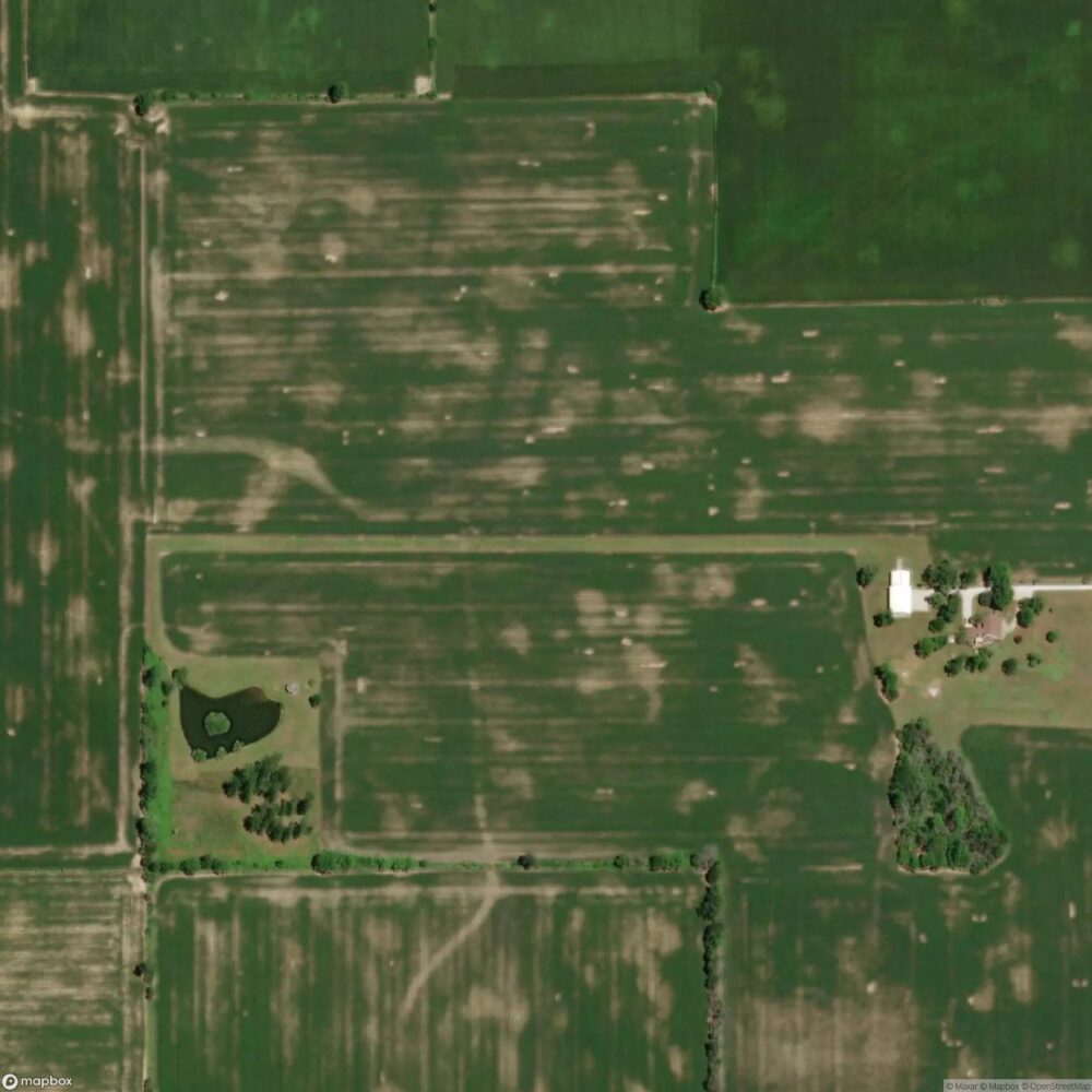 Farm Strip