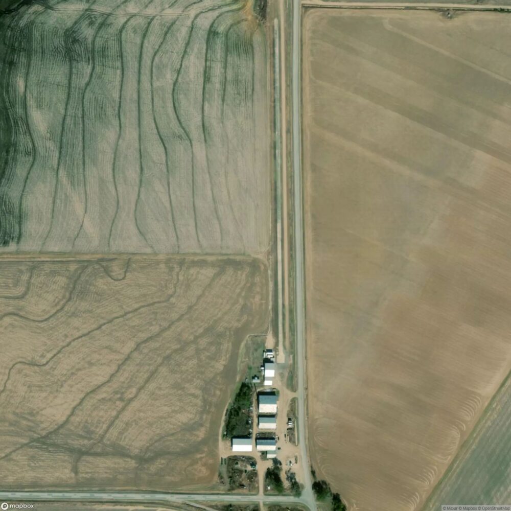 Lesters Field
