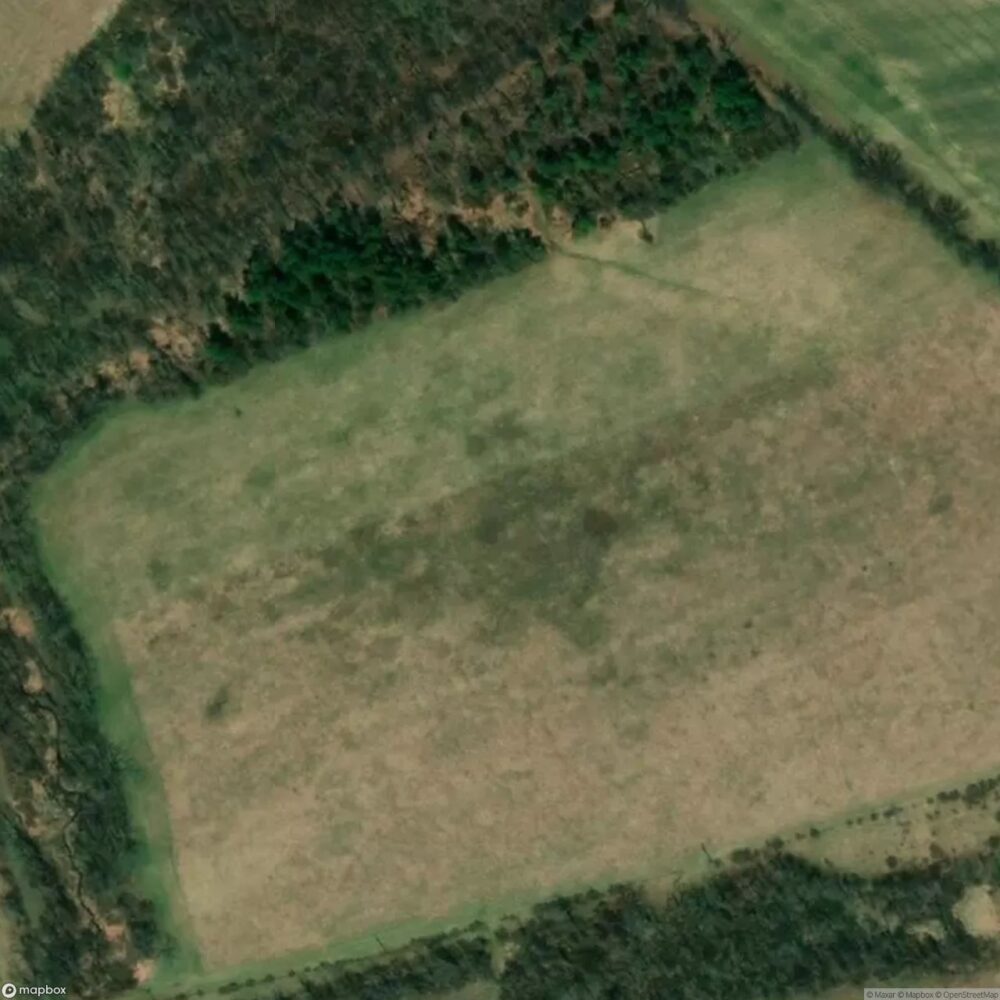 Derick Ultralight Flightpark