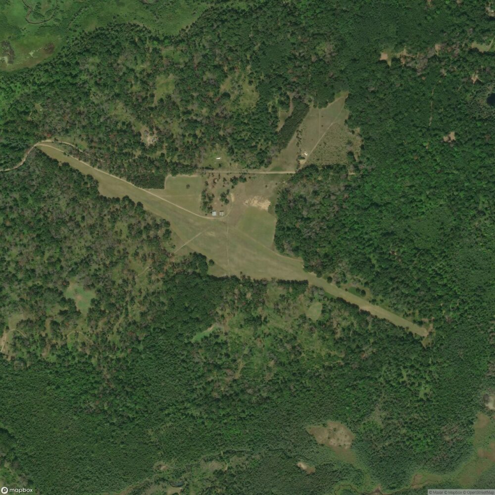 Skidway Lake Airport