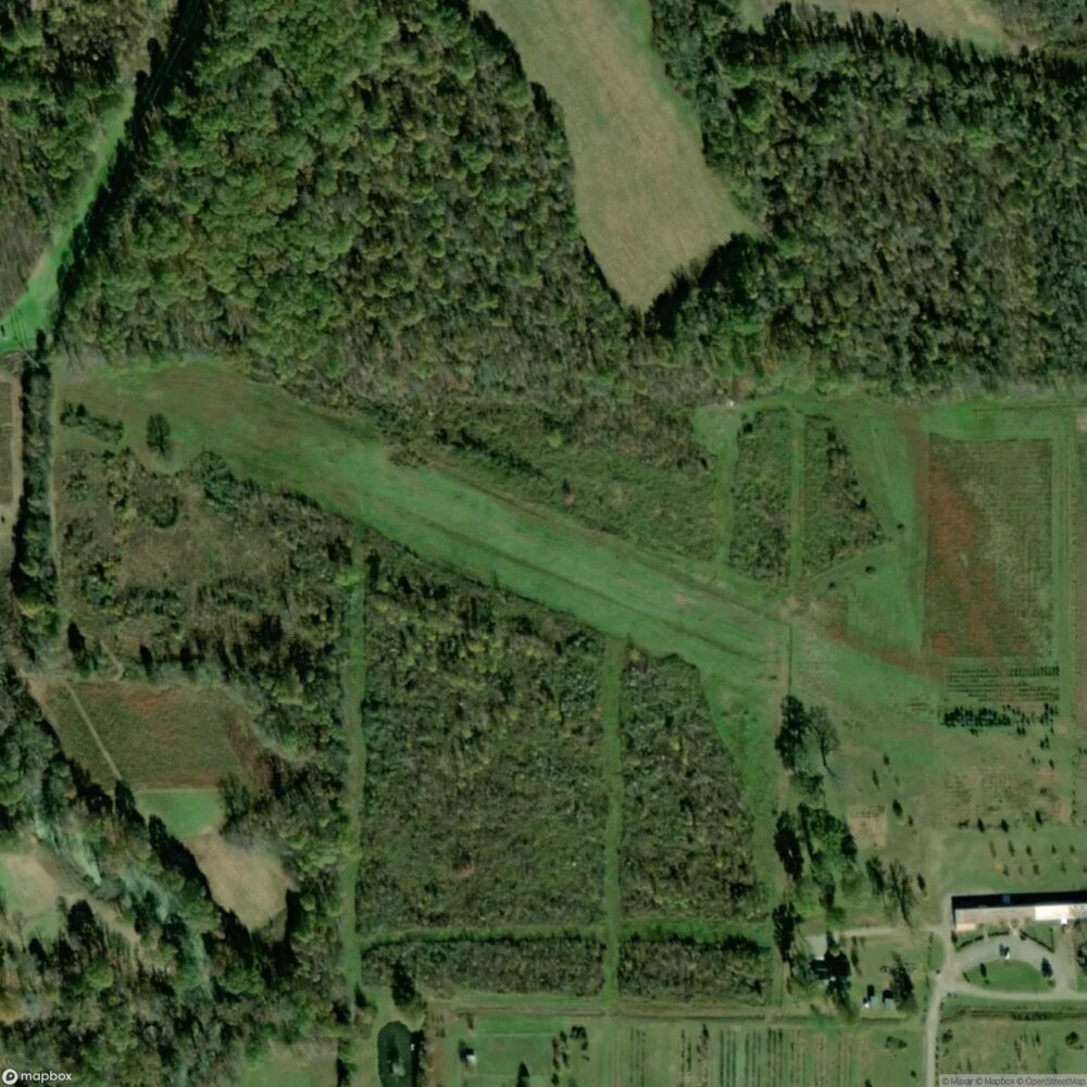 Pumpkin Patch Field
