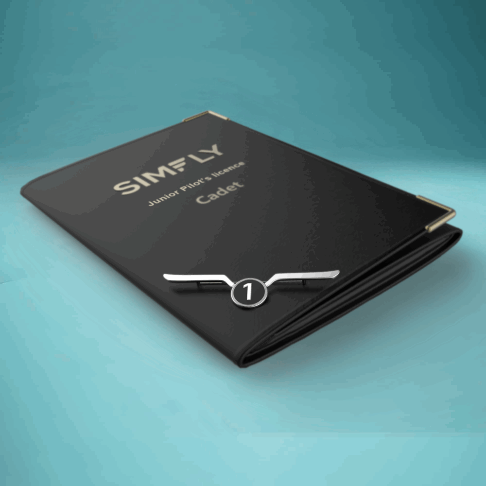 Junior Pilot License